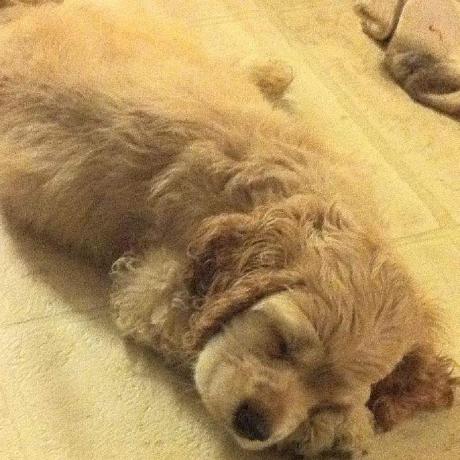 Github Atomicstorm Entropiacontrollermap - Ultra HD Full HD Dark Arts | Free Download