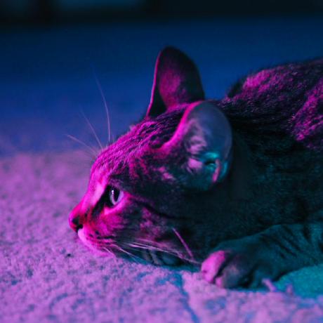 Releases Zvikasdongre Trackwork Fabric Github - Incredible Desktop Abstract Designs | Free Download