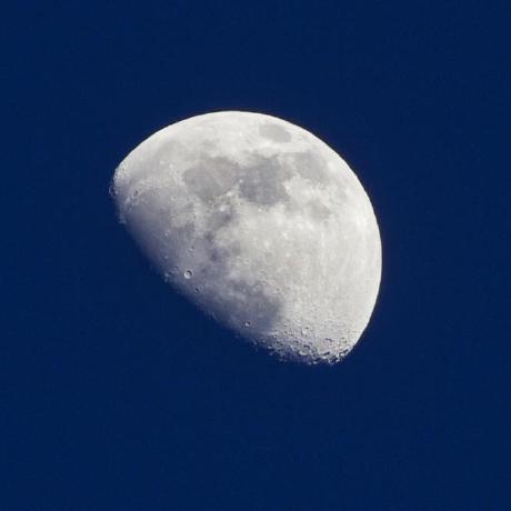 Yangxin6 Yangxin Github - Dark Illustrations - Incredible HD Collection