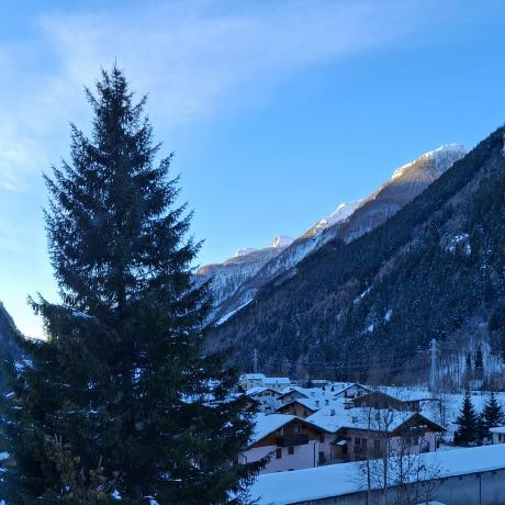 Beartocode Davide Github