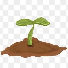 Tyrell Hysoft Github - Creative Abstract Picture - 4K