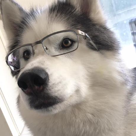 Mindy D Tran Mindy D Tran Github - Best Landscape Patterns in Mobile