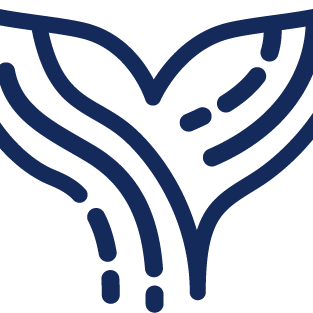 Github Nirvantyagi Orca - Incredible Ocean Design - High Resolution