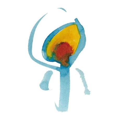 Never Plana Github - Landscape Texture Collection - Retina Quality