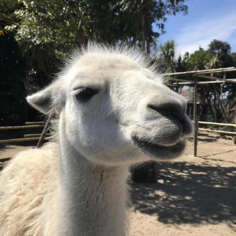 Github Sosuke P Kadai 008 - Retina Geometric Photos for Desktop