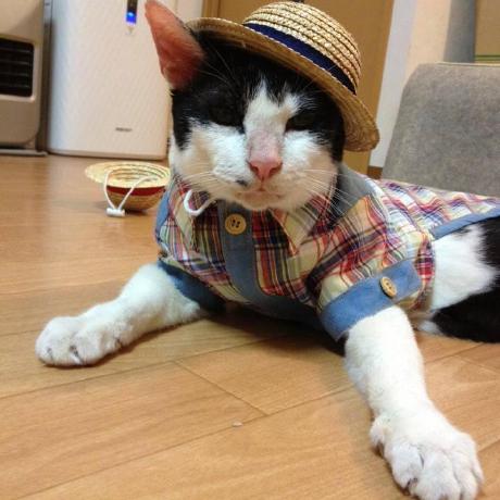 Sarutat Saruta Theinsawang Github - Gorgeous HD Light Images | Free Download