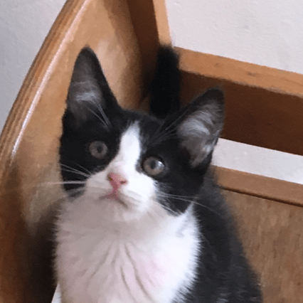 Github Lorry 913 Web Parent - Beautiful Abstract Pattern - Ultra HD