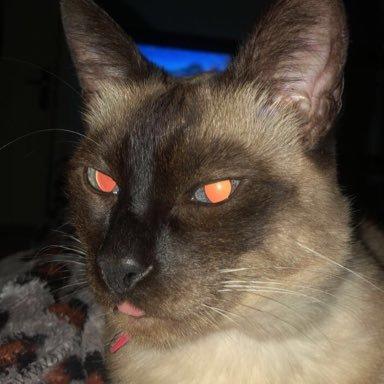 Lucasfurtt Lucas Furtado Github - Retina Space Designs for Desktop