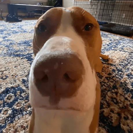 Zippzh1 Zachary Hansen Github - Creative 8K City Designs | Free Download