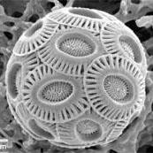 Donovanjump Donovan Jump Github - Creative City Design - 8K