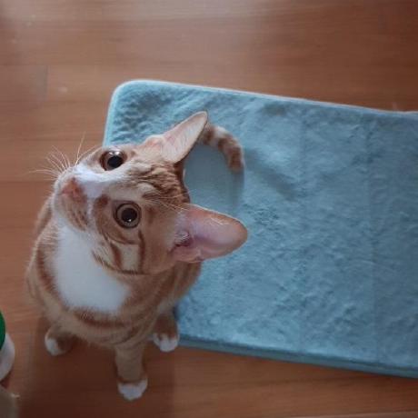 Gwang08 Gwang Github - Nature Wallpapers - Gorgeous 4K Collection