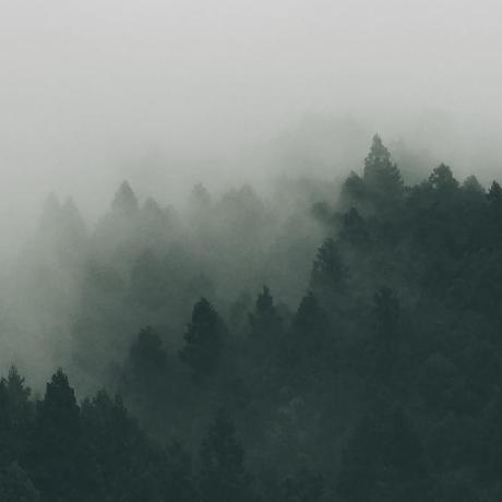 Github Mmanoah League Profile Tool An Application That Lets You Make - Classic Landscape Image - HD