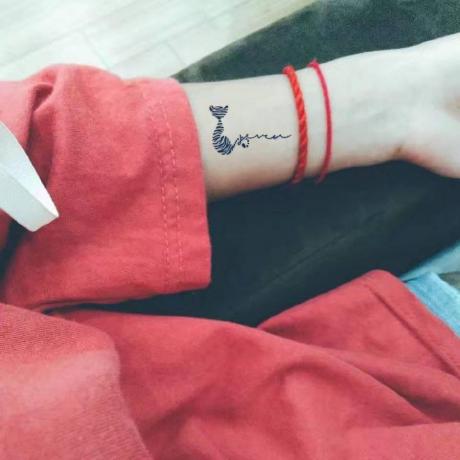 Github Yanmiao99 Utools Holidays Cursor Utools - Download Modern Sunset Picture | 8K