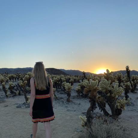 Carolinjenner Carolin Github - Download Ultra HD Nature Wallpaper | 8K