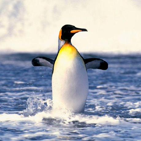 Error Importing Pyne Issue 1119 Pyne Pyne Github - Beautiful Mobile Light Textures | Free Download