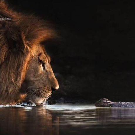 Jamesbarlow James Barlow Github