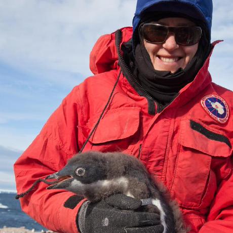 Antoinetteschmidt Antoinette Schmidt Github - Mobile Gradient Photos for Desktop