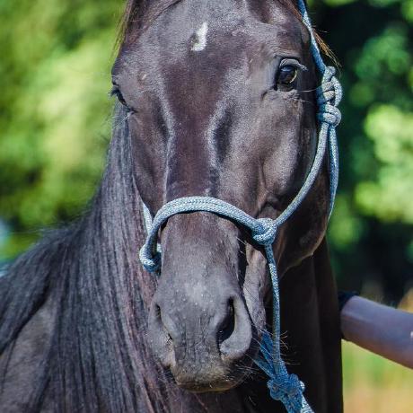 Barbora Svobodova B Ra Github - Amazing 8K Space Illustrations | Free Download