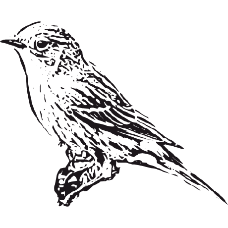 Github Alanhzw Warbler Cli Gt - Artistic Nature Picture - Full HD