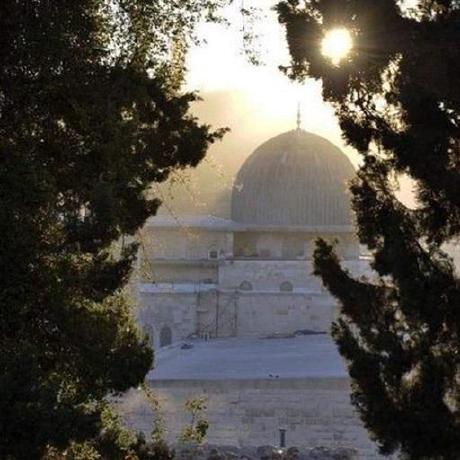 Smartbook Social Smartbook Github - Perfect High Resolution Sunset Arts | Free Download