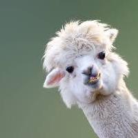 Github Tnwrestler360 Fd Oxyrun - Amazing Mountain Pattern - HD