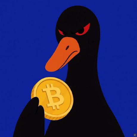 Rand Project Github - Premium Ocean Illustration Gallery - High Resolution