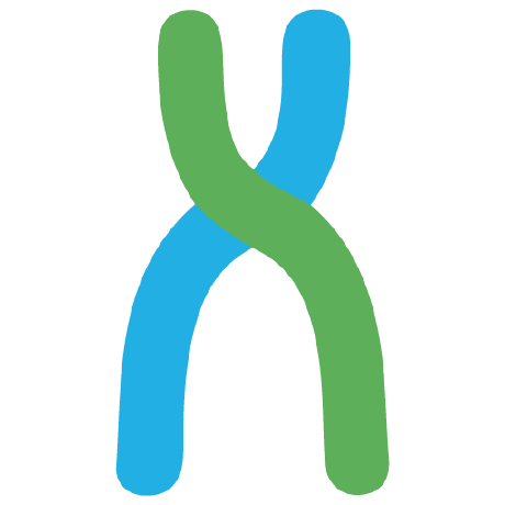 Github Brandonsaldan Codex A Minimal Genetic Data Explorer That - Geometric Art Collection - Desktop Quality