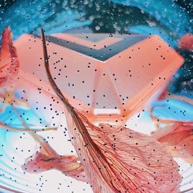 Github Hilfina Kepegawaian - Colorful Background Collection - Desktop Quality