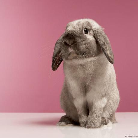 Thanakorn Vk Github - Artistic Nature Image - HD