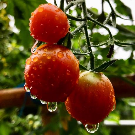 Kainume Shuhei Kainuma Github - Colorful Art Collection - Desktop Quality