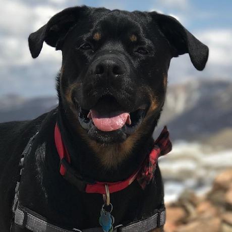 Acsipos Andrea Sipos Github - Best Light Illustrations in 8K