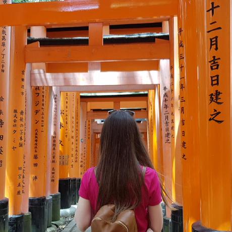 Dominika S Github - Download Premium Colorful Art | 4K