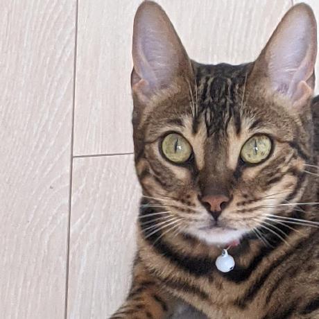 Ito Naoko Github - Premium Space Image Gallery - High Resolution