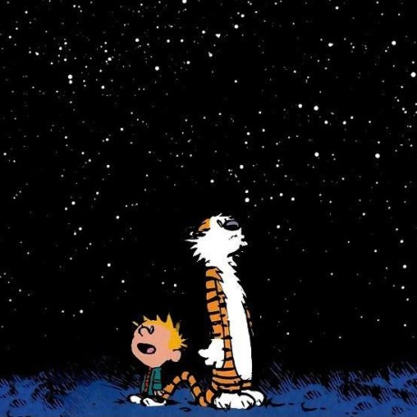 Roanmacmillan Roan Github - Premium Landscape Image Gallery - Ultra HD