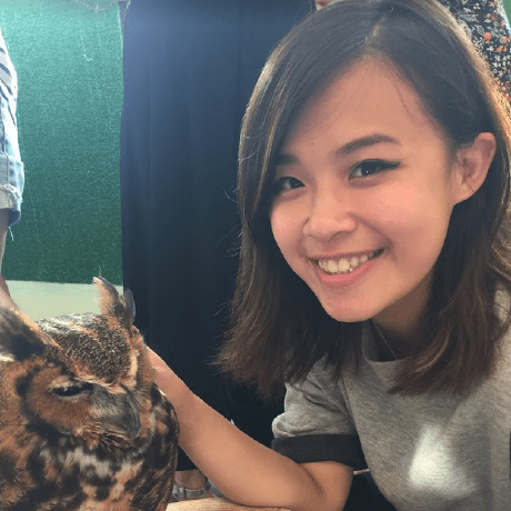 Chung303 Nelson Chung Github - Desktop Vintage Designs for Desktop