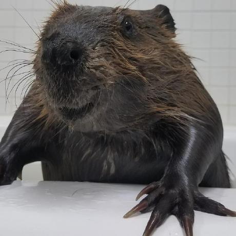 Badinga Ulrich Github - Full HD Minimal Wallpapers for Desktop