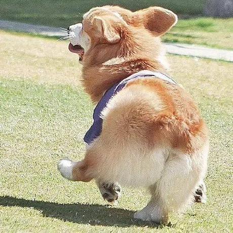 Github P4cmn Umbrella - Best Landscape Backgrounds in High Resolution