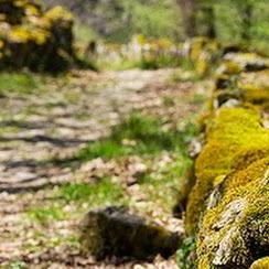 Aprendices Adsi Github - Artistic HD Minimal Images | Free Download