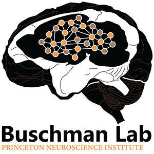 Buschman Lab Github - Creative HD Abstract Arts | Free Download