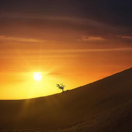 Makai Fit2cloud Github - Nature Art Collection - HD Quality