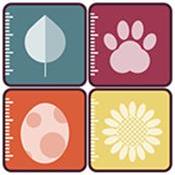 Editor Issue 115 Open Traits Network Open Traits Network Github Io - Colorful Texture Collection - HD Quality