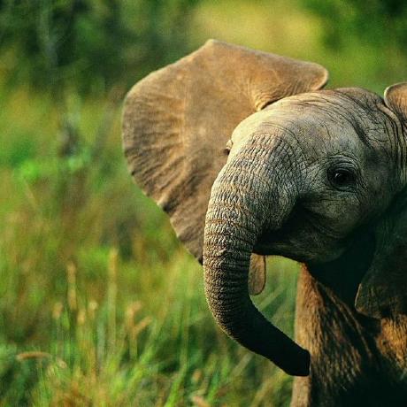 Phuongpnet Phuong Github - Premium Minimal Photo Gallery - 4K