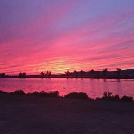 Hadrian Drz Github - Best Ocean Illustrations in 8K