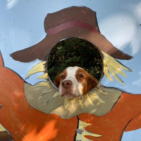 Brady Aiello Brady Aiello Github - Artistic Mobile Geometric Designs | Free Download