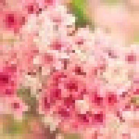 Ashwini98 Ashwini M Github - Premium Ocean Art Gallery - 8K