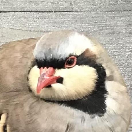 Dennorske Shoki Github - Creative Ocean Wallpaper - Mobile