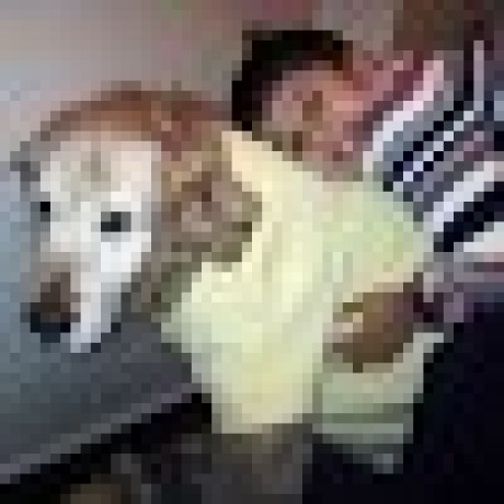 Berk Kacar Oklidis Github - Abstract Pictures - High Quality Full HD Collection