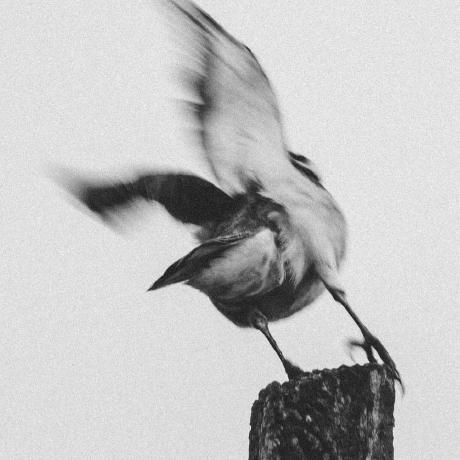 Github Sunert Profiles - Download Stunning Ocean Pattern | Desktop