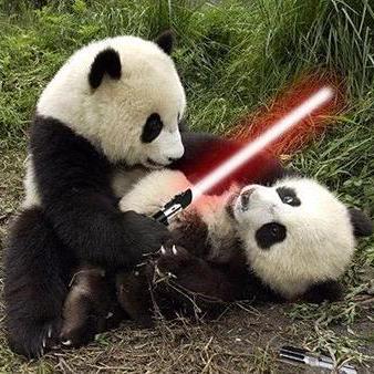 Anadimandloi Anadi Mandloi Github - Perfect Ultra HD City Wallpapers | Free Download