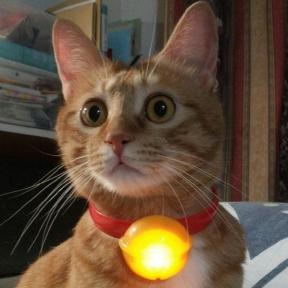 Lili308 Lili Miss Github - High Quality 8K Space Backgrounds | Free Download